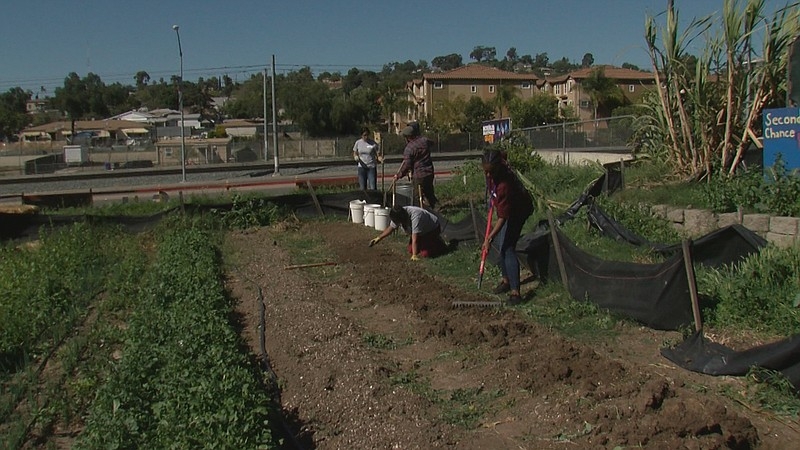 Students prepare soil to plant seeds at Second Chance Youth Garden