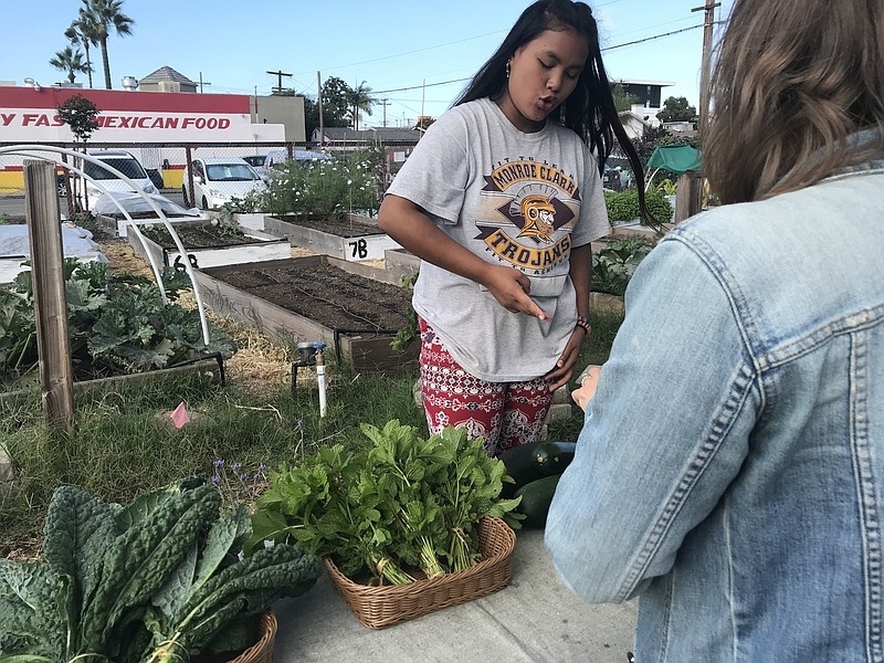 San Diego City Heights Refugee Youth Harvest Plants, Job Skills