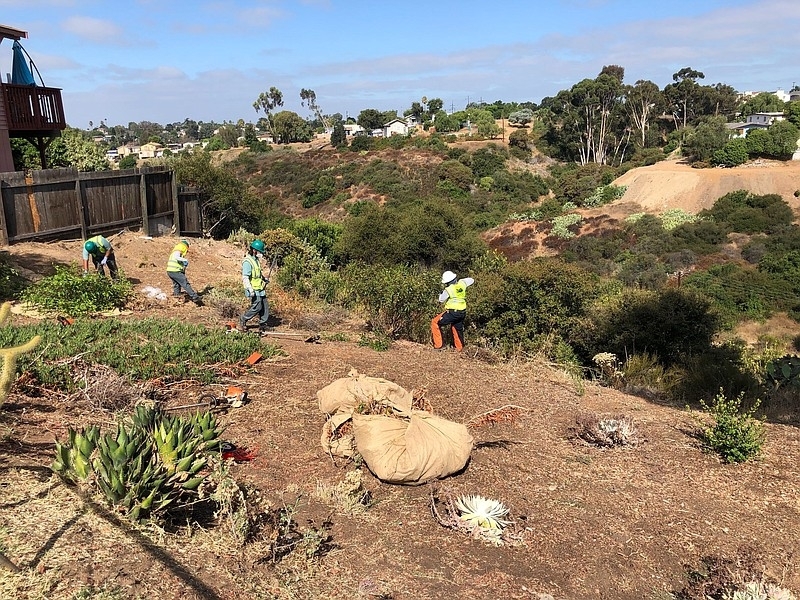 San Diego Urban Corps Helps Clear Brush, Create Defensible Space