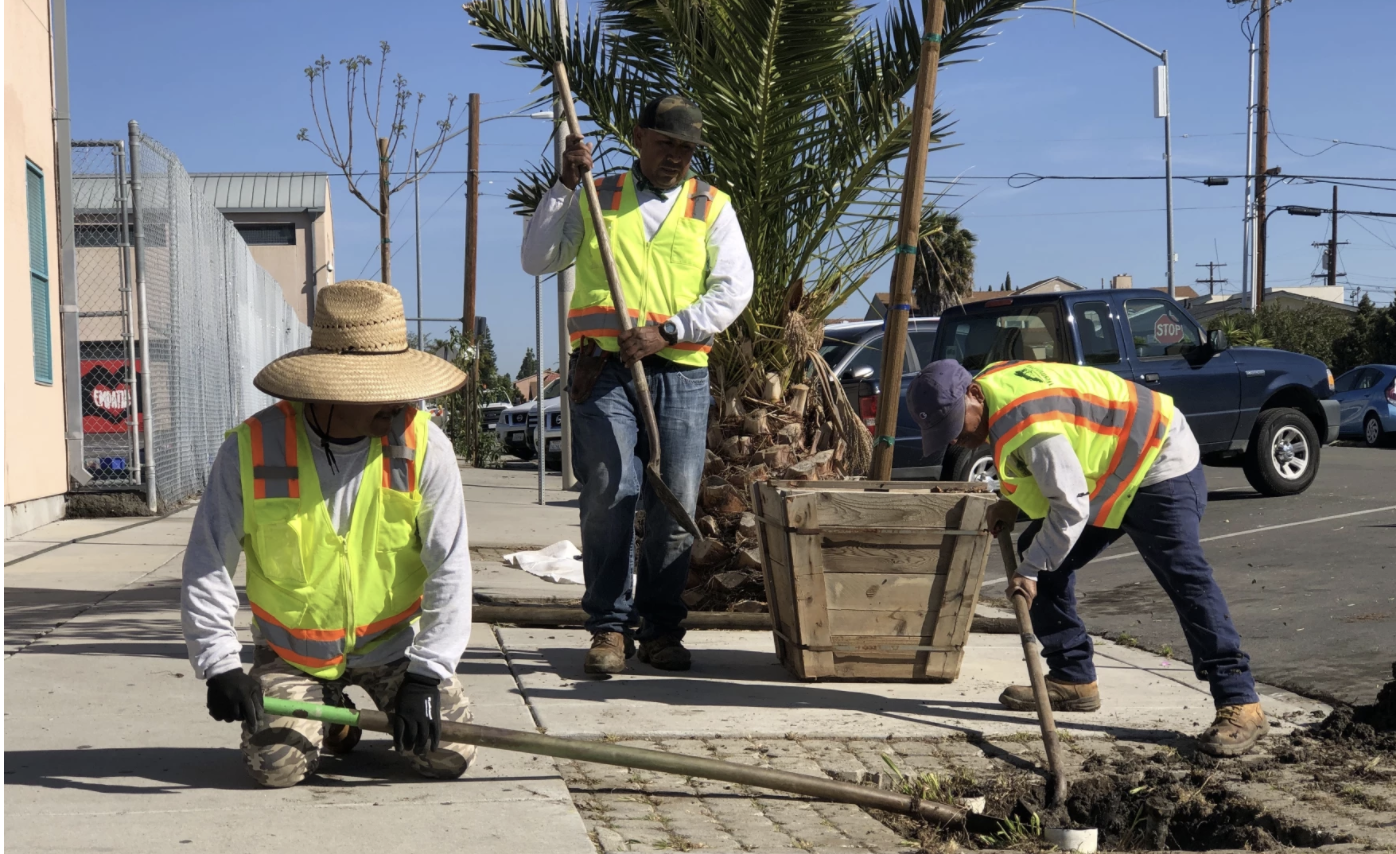 Say, ‘Trees!’ City Heights just got a lot more of them
