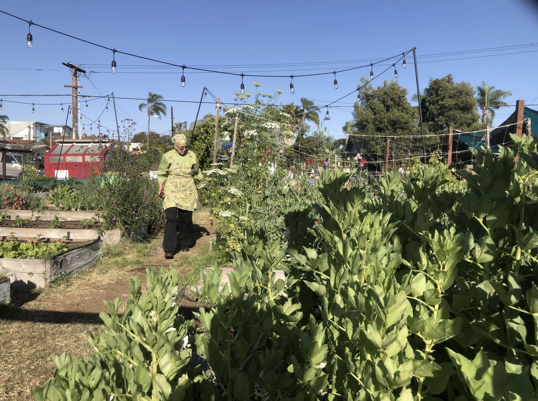 San Diego immigrant job-training program expands cafe and urban farm business
